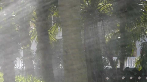 City Gardens Stock Footage 41756121