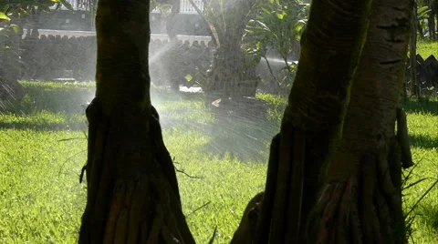 City gardens Stock Footage 41757408