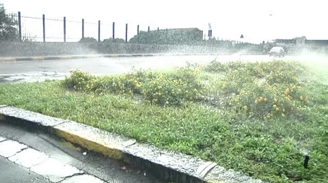 City green. Video stock 8931811
