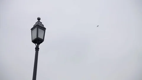 City lamp Post Stock Footage 77651231