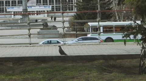 City landscape day Stock Footage 62575509