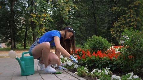 City landscape design Stock Footage 103024680