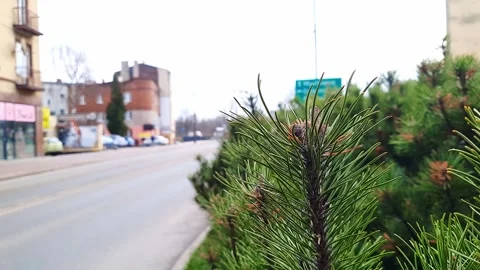 City life. Stock Footage 269075901