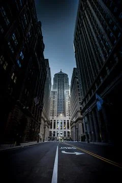 City light Фото