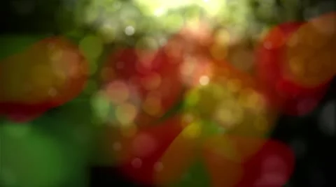 City lights Stock Footage 10022128