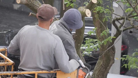 City Maintenance Workers On A Raised Platform Cutting Tree Branches Stock Footage 283567834