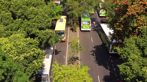 City Movement under the trees Stock Footage 248089313