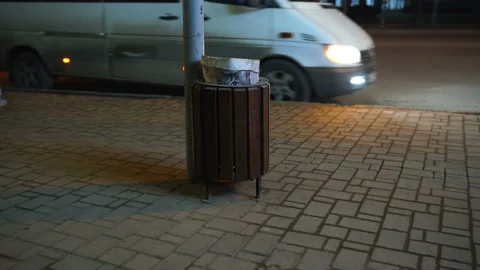 City night bus stop. Cat print on plastic bag peeking out of sidewalk trash can Stock Footage 102085477
