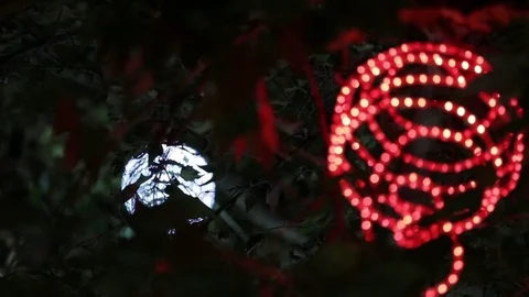 City at night, trees illuminated, m/s Stock Footage 75987681