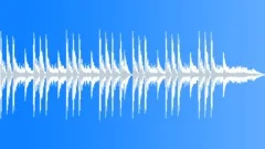 CITY NIGHTS loop2 Stock Music