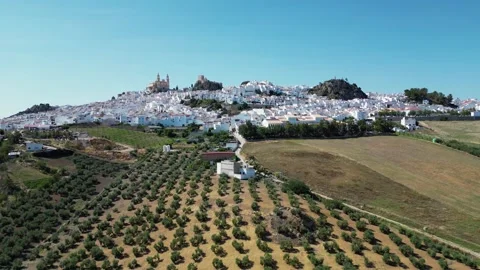 The city of Olvera in Spain. Stock Footage 269006794