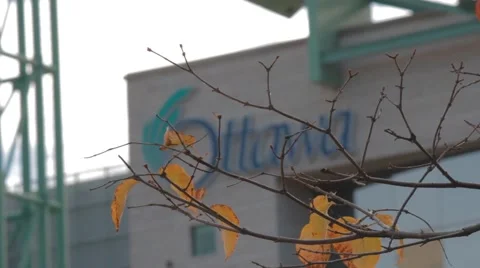 CITY OF OTTAWA LOGO Stock-Footage 42976998