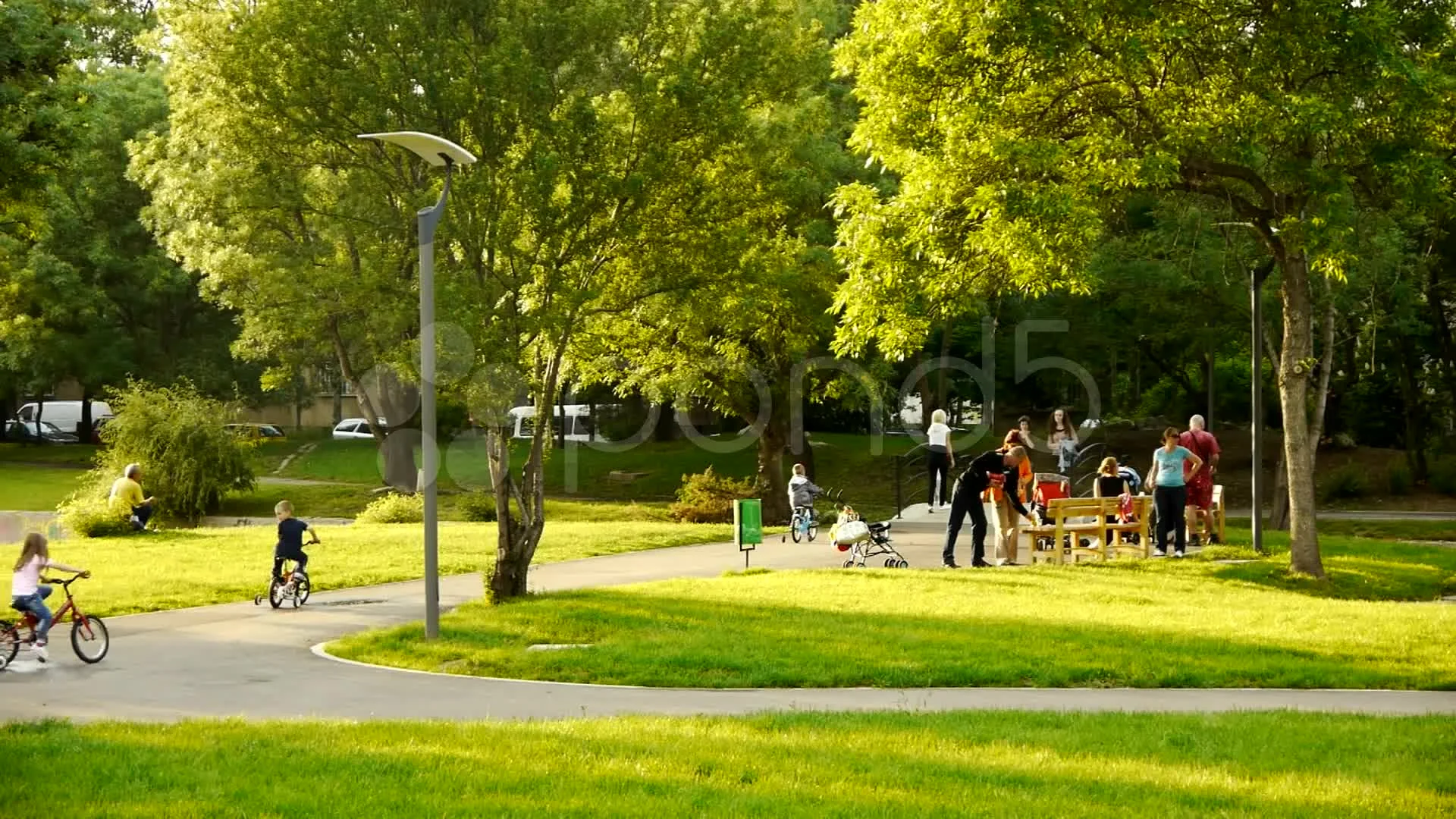 City Park Background