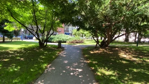 City Park 2 Stock Footage 132395227