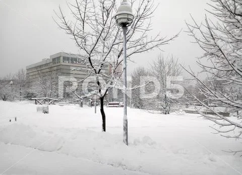 City park after snowfall at day Stock Photos