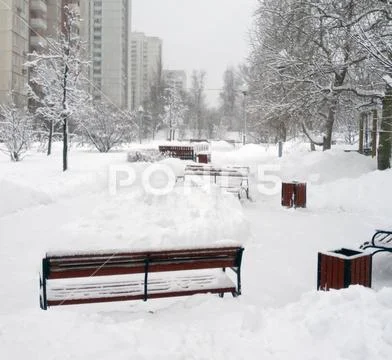 City park after snowfall at day Stock Photos