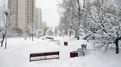 City park after snowfall at day Stock Photos