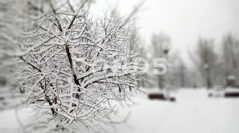 City park after snowfall at day Stock Photos