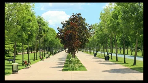 City Park Between Trees Under Blue Sky In The Daylight Stock Footage 295643450