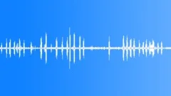 City park, Birds (Looping) denoised 02 Sound Effect