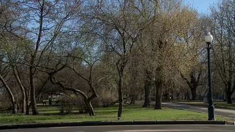 City park in early spring view Stock Footage 74098554