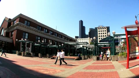 City Park Stock Footage 7743090