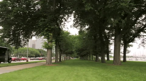 City Park Stock Footage 53909621