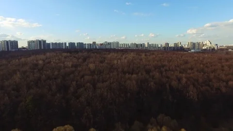 City Park Stock Footage 75239656