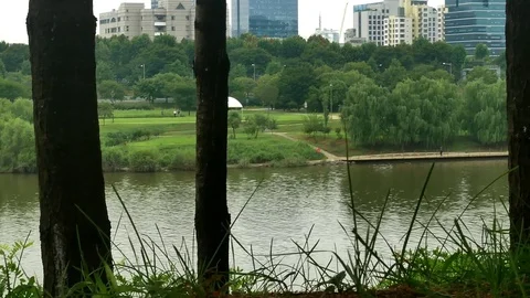 City park: 스톡 동영상 80191085