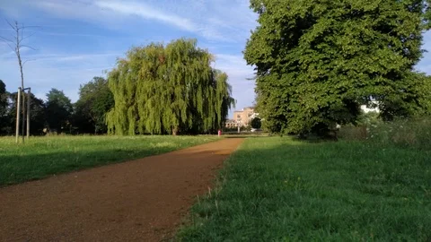 City park. Stock Footage 113798815