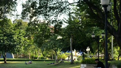 City Park Stock-Footage 133195112