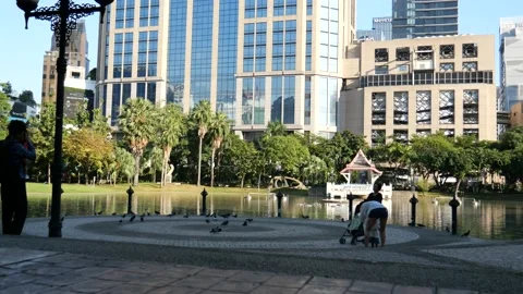 City Park Stock-Footage 133195457