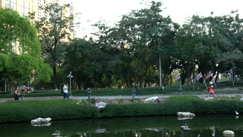 City Park Stock-Footage 133247909