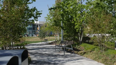 City Park 스톡 동영상 160127443