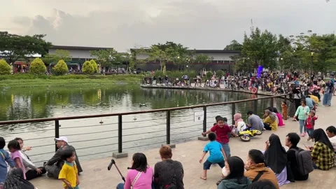 City park Stock Footage 230245933