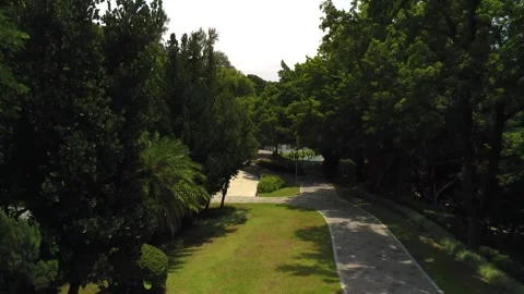 City park Stock-Footage 252125154