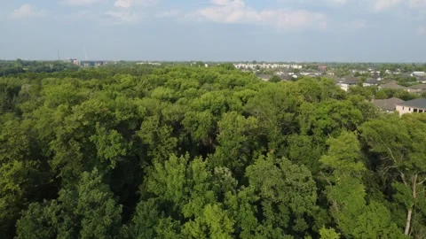 City park (opening) Stock Footage 313711212