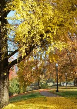 City park path Stock Photos
