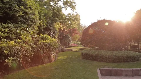 City park Shanghai Stock Footage 83421067