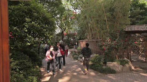City park Shanghai Stock Footage 83433252