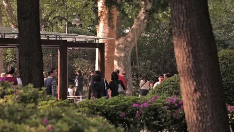 City park Shanghai Stock Footage 83434874