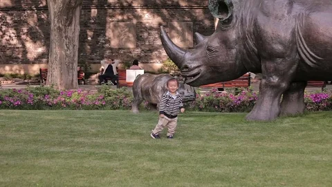 City park Shanghai Stock Footage 83435142