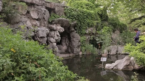 City park Shanghai Stock Footage 83435649