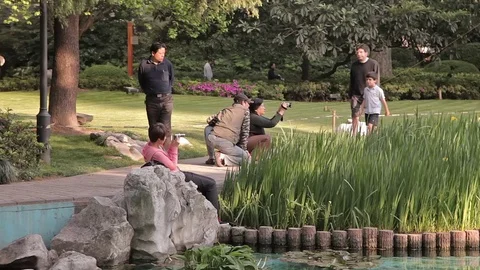 City park Shanghai Stock Footage 83436138