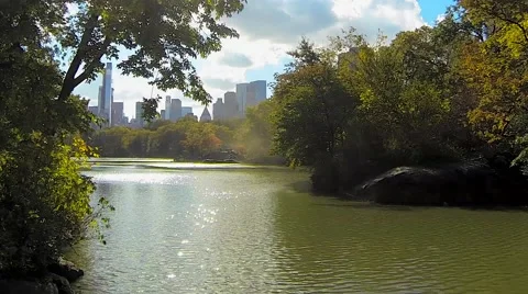 City Park with Skyline Stock Footage 59554016