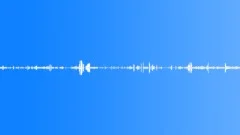 City Park, Spring Birds Chirping (Looping) denoised 01Sound Effect