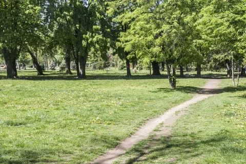City park in spring Stock Photos