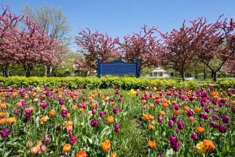 City Park in Springtime Stock Photos