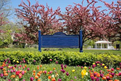 City Park in Springtime Stock Photos