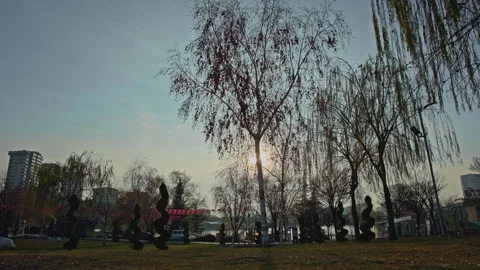 City Park Sunset Time Lapse with Sun Flare and Spiral Trees - 4K Stock Footage 324906623